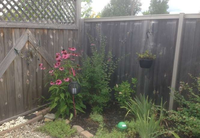 234 Bulrush Cres-small-032-36-Summer Backyard-666x500-72dpi